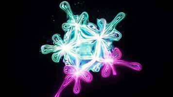 Abstract Colorful Forms Glow and Float on Black Background, Showing Interesting Light Effects video