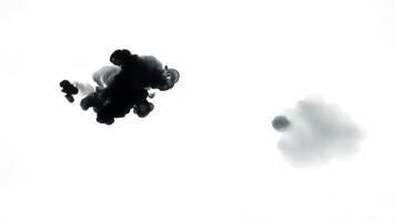 Tiny Cluster of Black Forms a Shape Against Blank White Background video