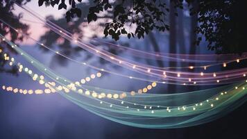 kväll skog scen med draperad tyg och sträng lampor skapande magisk atmosfär video