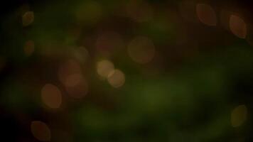 Abend Beleuchtung im Bokeh Erstellen ein abstrakt bewirken im zentral Park video