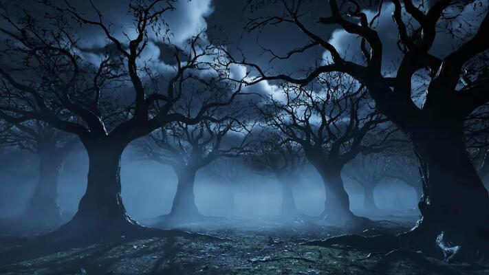 キャンバスドローイング『The forest at night』 キャンバスドローイング『The forest at night』 Mystical