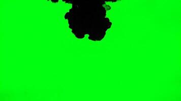 a smoke or ink bleed transition that covers the screen isolated on a chroma key green screen video