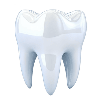 shiny, realistic 3D rendering of white tooth with smooth surfaces and detailed contours, isolated on transparency background png