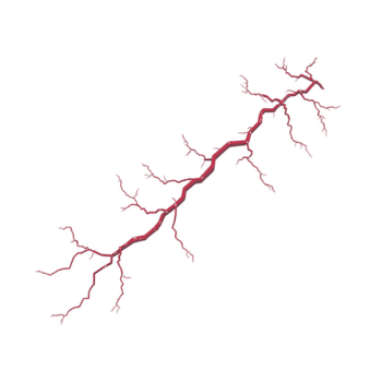 levendig illustratie van rood bliksem bout met ingewikkeld vertakking patronen tegen transparantie achtergrond, presentatie van dynamisch en krachtig natuur van elektriciteit png