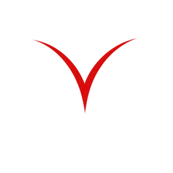 Rot, stilisiert v gestalten auf Transparenz Hintergrund schafft auffällig und minimalistisch Design. Fett gedruckt Farbe und einfach bilden vermitteln Sinn von Eleganz und Modernität png