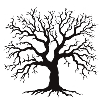 detaljerad silhuett av bladlösa träd med invecklad grenar, frammanande känsla av mysterium och elegans. träd komplex strukturera står ut mot enkel bakgrund png