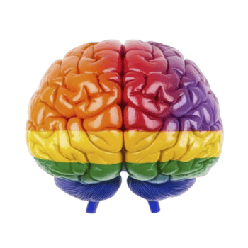 colorato cervello modello è dipinto con vivace arcobaleno modello, simboleggiante diversità e inclusività. luminosa colori creare Impressionante visivo effetto, che rappresentano creatività e unità png