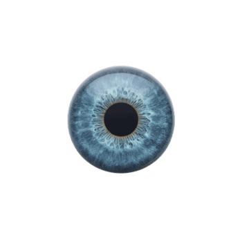 Detailed close up of blue human eye iris with intricate patterns and textures, isolated on transparency background. image highlights unique and mesmerizing design of iris png