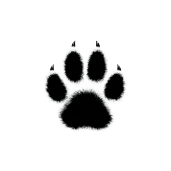 lurviga, grå Tass skriva ut med texturerad utseende är uppsättning mot genomskinlighet bakgrund, skapande slående kontrast. design är enkel än öga fångst, frammanande känsla av vildmark och natur png