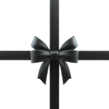 elegante nero nastro legato in arco è elegantemente disposte su trasparenza sfondo, la creazione di sofisticato e minimalista design. arco liscio struttura e simmetrico forma Inserisci toccare di eleganza png