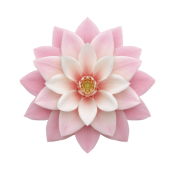 hermosa rosado loto flor con delicado pétalos arreglado en simétrico patrón, exhibiendo sus sereno y elegante naturaleza. suave matices crear calmante efecto png