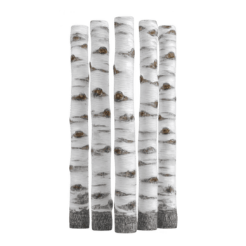 cinco abedul árbol bañador estar vertical, exhibiendo su distintivo blanco ladrar con oscuro marcas natural textura y modelo de ladrar son claramente visible, destacando único belleza de abedul arboles png