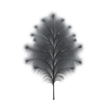 delicado, intrincado pena com simétrico padronizar e suave textura, semelhante a folha, conjunto contra avião fundo. pena bem detalhes crio sentido do elegância e tranquilidade png