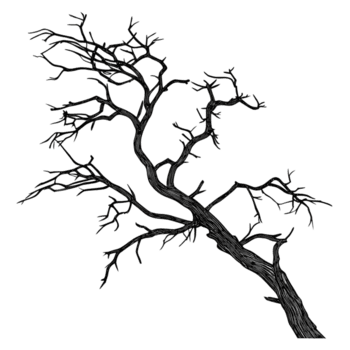 Abstract geometric pattern with glowing lines isolated on transparent background png