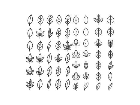 Set of leaves icon set isolated on a white background vector
