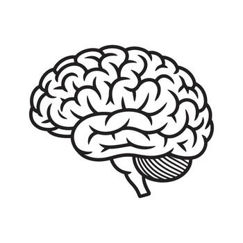 Stylized Human Brain Illustration Representing Intelligence, Neurology, and Cognitive Function with Artistic Design and Clear Anatomical Representation vector