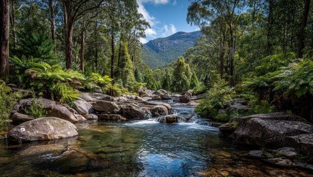 A stream running through a forest with rocks and trees photo