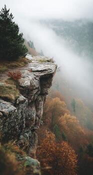 A person standing on a cliff overlooking a foggy forest photo
