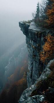 A view of a cliff with trees and fog photo