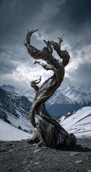 A tree with twisted branches in front of mountains photo