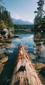 A log in the water with trees and mountains in the background photo