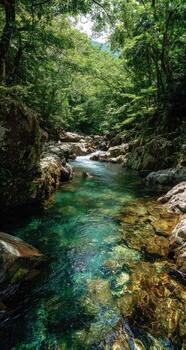 A stream in the woods with clear water photo