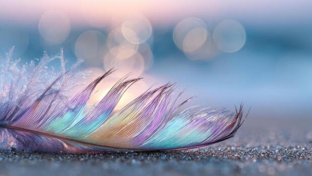A feather laying on the ground with a blurry background photo