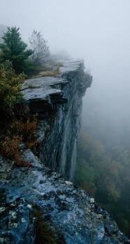 A foggy view of a cliff with trees and rocks photo