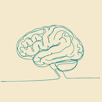 Minimalist Line Drawing of a Human Brain with Detailed Structures on a Light vector