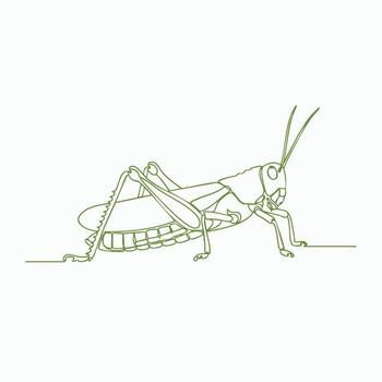 Minimalist Line Drawing of a Grasshopper with Detailed Body Segments and Antennae on a vector
