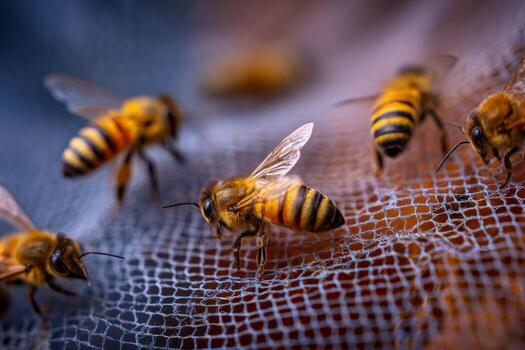 A group of bees is seen buzzing around a fine mesh screen, showcasing their intricate features and dynamic movements. The warm light highlights their golden bodies as they work diligently photo
