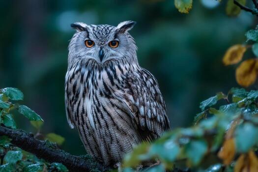 A detailed image captures a majestic owl with striking orange eyes resting on a branch against a backdrop of lush green leaves during twilight. The atmosphere feels calm photo