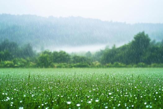 Raindrops gently fall on a lush green meadow, creating a tranquil atmosphere. Soft mist shrouds the distant hills, adding to the peaceful ambiance of the countryside photo