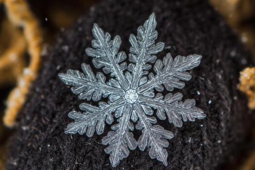 A detailed view reveals a delicate snowflake resting on a dark woolen glove. This close encounter showcases the unique patterns and crystalline structure of the snowflake in a winter atmosphere photo