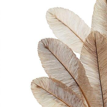 Close-up of several softly colored, feathery plumes set against a bright white background photo