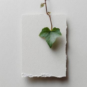 un soltero hoja con provenir, adjunto a un blanco papel, conjunto en un ligero antecedentes foto