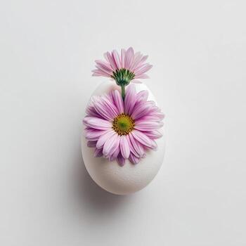 An egg adorned with two pink flowers on a stark white background, a minimalist aesthetic photo