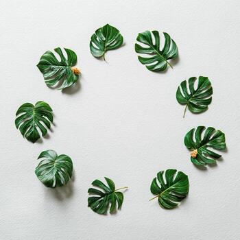 Circle of vibrant green leaves on white textured background, with a blank space in center photo