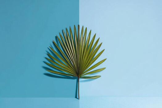 A single green palm leaf centered on a two-tone blue background, split vertically photo