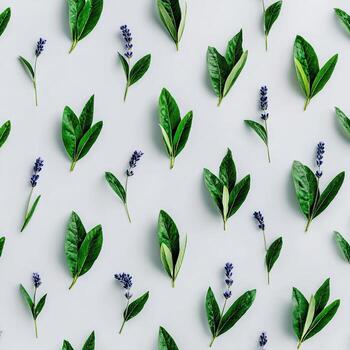 Overhead shot of an arranged pattern of green leaves and small purple flower stalks photo