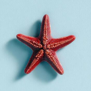 Overhead shot of a vibrant red starfish on a textured blue background photo