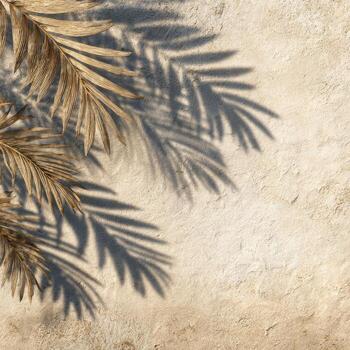 Close-up of dried palm fronds casting textured shadows on a rough, light-colored surface photo