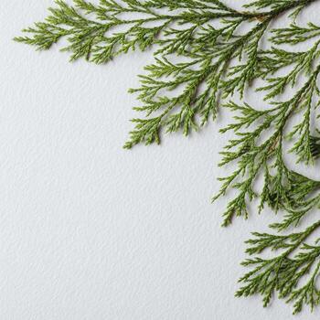 Overhead shot of a light, textured surface with green, leafy sprig in top corner photo