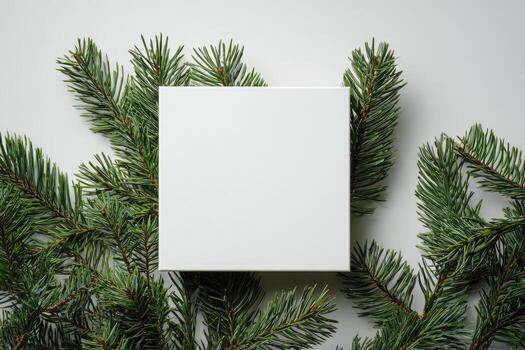 A white square over fir branches on a white surface, a festive holiday scene photo