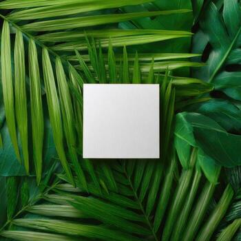 Square white paper on a backdrop of various lush, green tropical leaves, creating a natural aesthetic photo