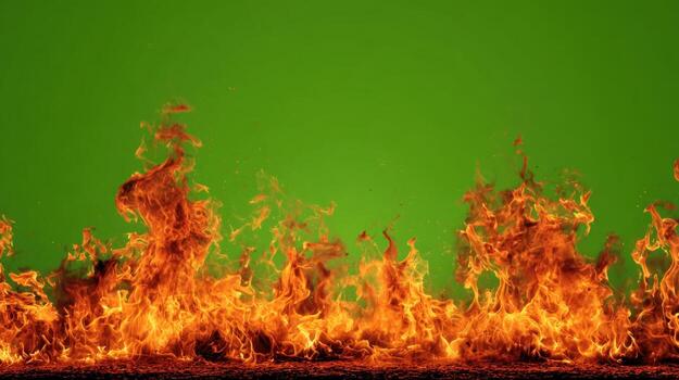 Orange Red Flames Engulf on green screen background. Vibrant fire animated on green backdrop. Burning flame animation. Frame Template. Chroma key. Motion graphics. Creative for overlay. Inferno photo