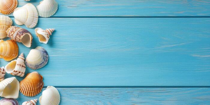 Exotic seashells on a blue wooden background. Wide panoramic banner with space for text. Sea shells decorations for design, invitations. Cosmetics background, copy space. Summer tropical beach concept photo