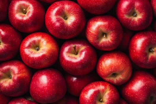 Red apples background. Ripe big dark red apples royal gala wallpaper. Closeup top view apple pattern. Bright shiny fragrant fruits and water drops. Harvesting, fresh healthy food concept. Above view photo