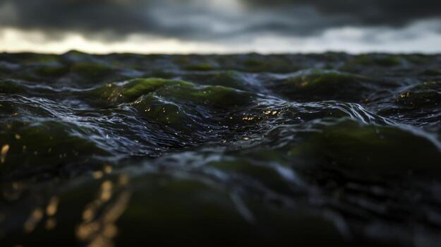 Tranquil ocean waves with green algae floating under moody dramatic clouds at sunset photo