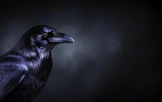 Black bird with striking red eye against dark background, portrait view of raven photo